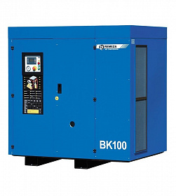 На сайте Трейдимпорт можно недорого купить Компрессор винтовой Remeza ВК100E-15. 